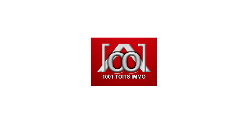 1001 Toits Immo